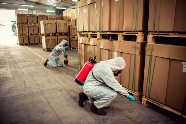 Best Affordable Pest Control Services  in River Road, NC