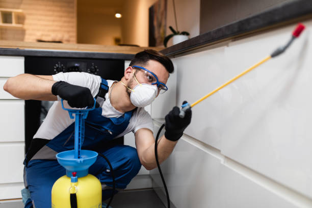 Best Pest Inspection Near Me  in River Road, NC