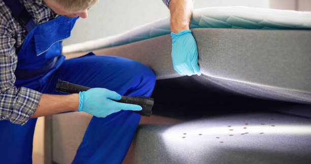 Best Exterminator Services  in River Road, NC