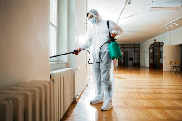 Best Flea Control Services  in River Road, NC